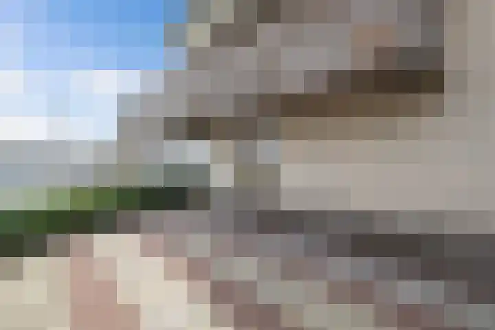 Schokkerhaven 25 Nagele thumbnail 47