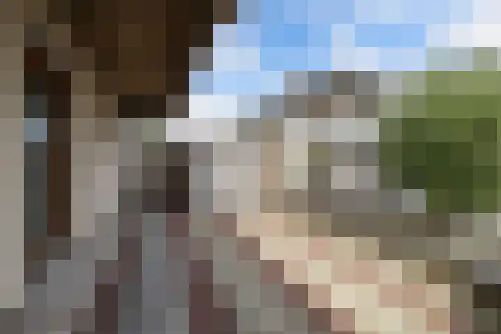 Schokkerhaven 25 Nagele thumbnail 48