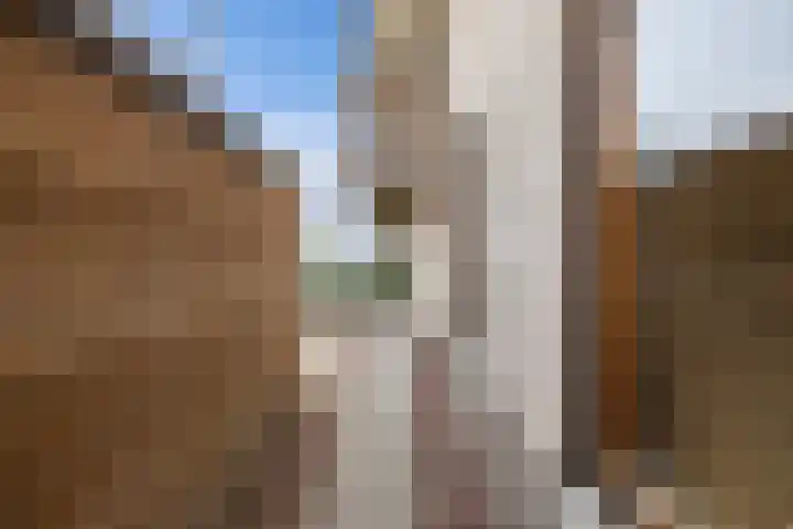 Schokkerhaven 25 Nagele thumbnail 50