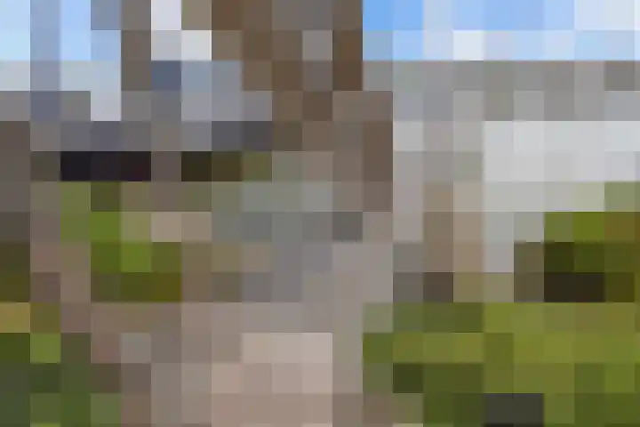 Schokkerhaven 25 Nagele thumbnail 51