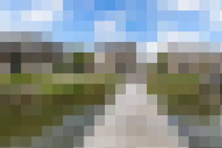 Schokkerhaven 25 Nagele thumbnail 53