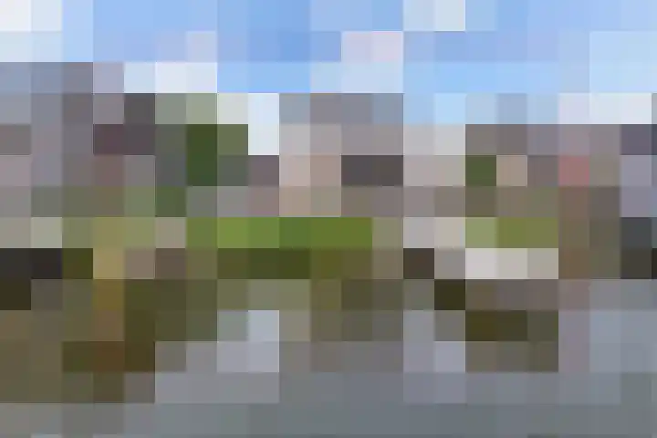 Schokkerhaven 25 Nagele thumbnail 54