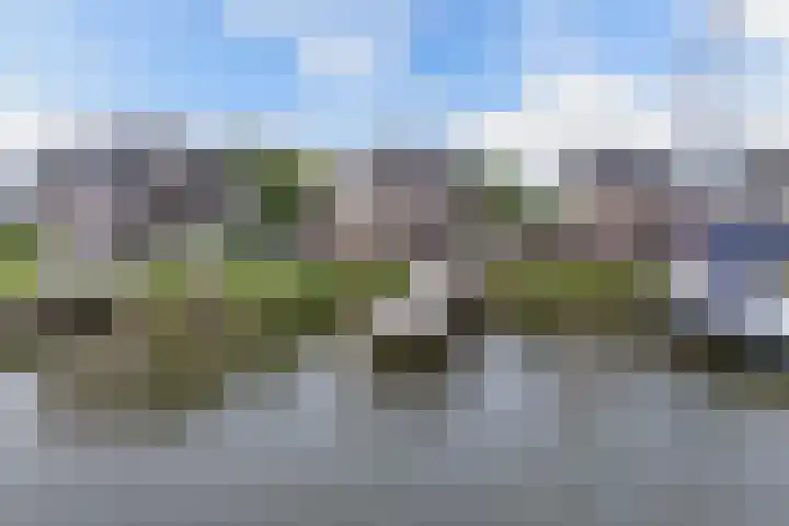 Schokkerhaven 25 Nagele thumbnail 56
