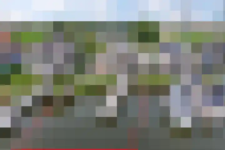 Schokkerhaven 25 Nagele thumbnail 57