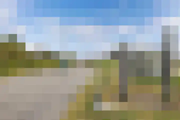 Schokkerhaven 25 Nagele thumbnail 6