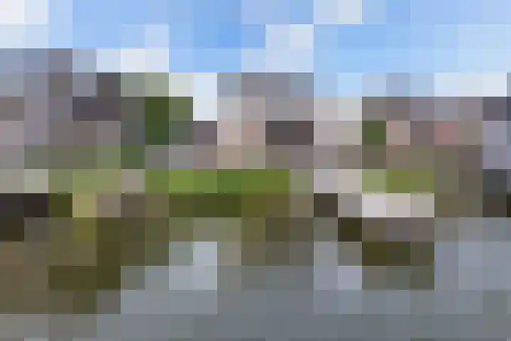 Schokkerhaven 25 Nagele thumbnail 68