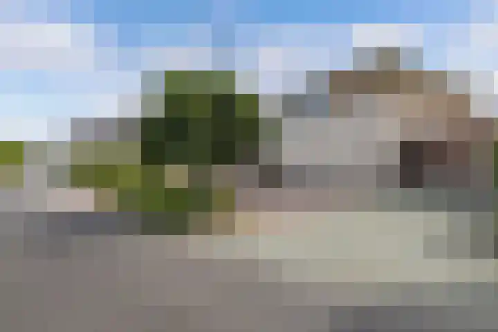 Schokkerhaven 25 Nagele thumbnail 9