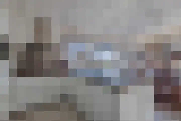 Schokkerhaven 28 Nagele thumbnail 19