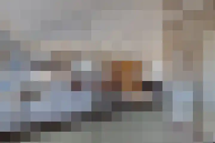 Schokkerhaven 28 Nagele thumbnail 20