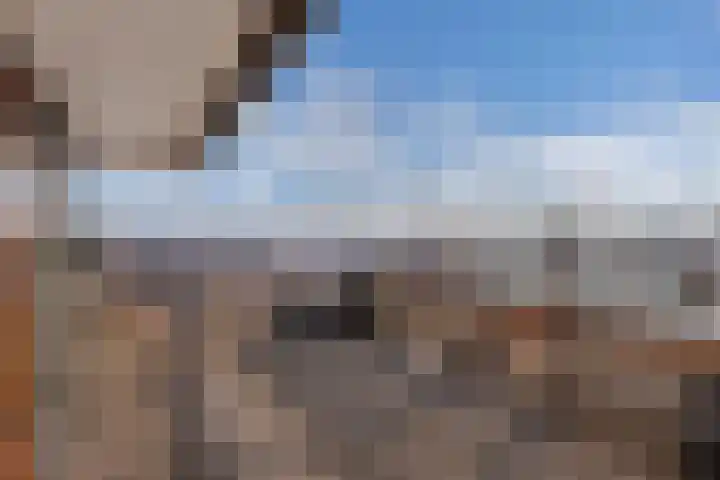 Schokkerhaven 28 Nagele thumbnail 34
