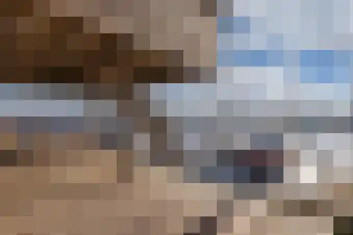 Schokkerhaven 28 Nagele thumbnail 38