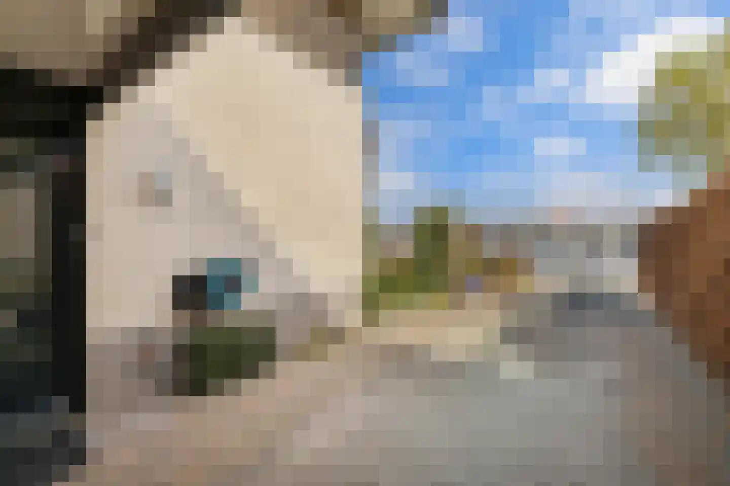 Schokkerhaven 49 Nagele thumbnail 11