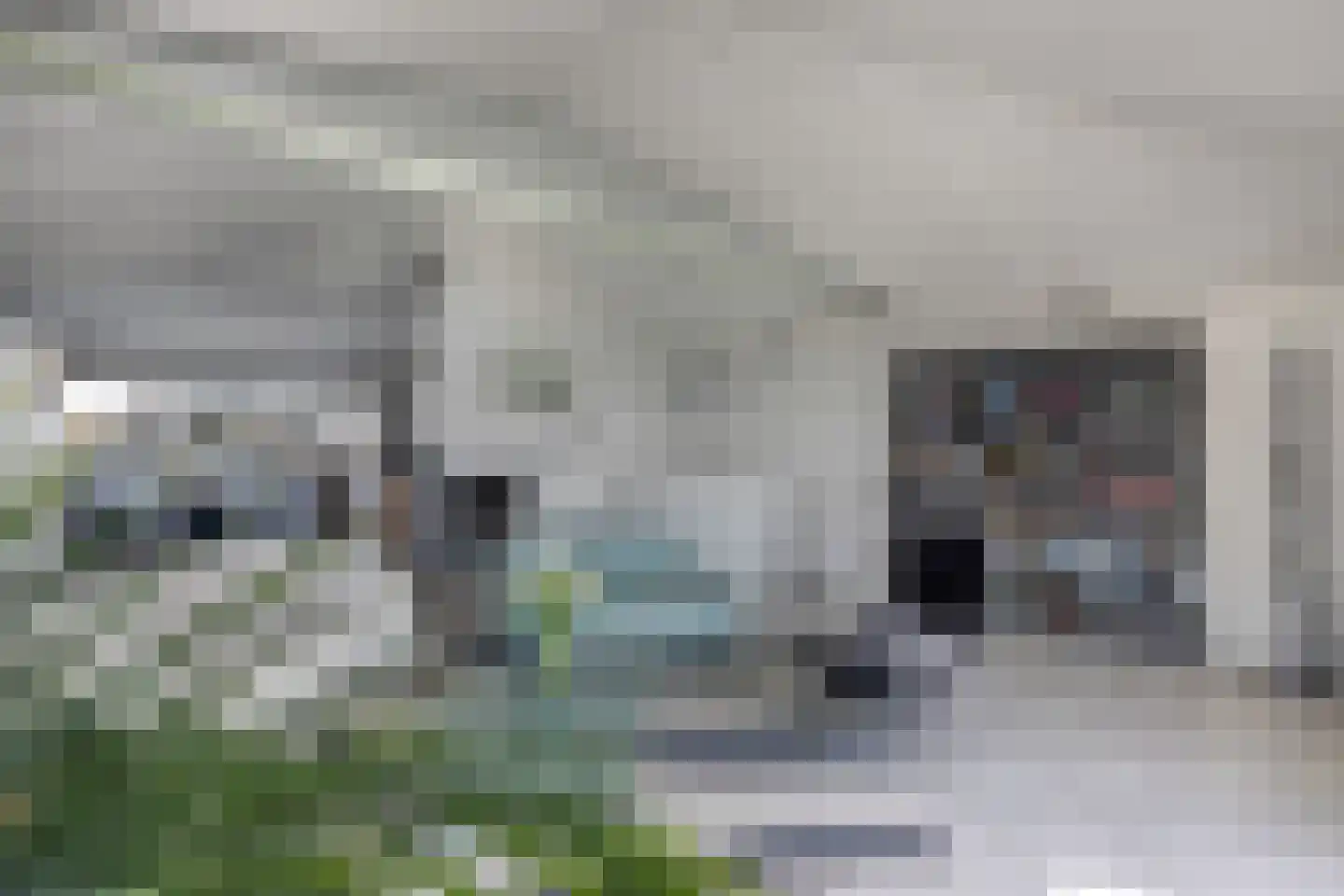 Schokkerhaven 49 Nagele thumbnail 26