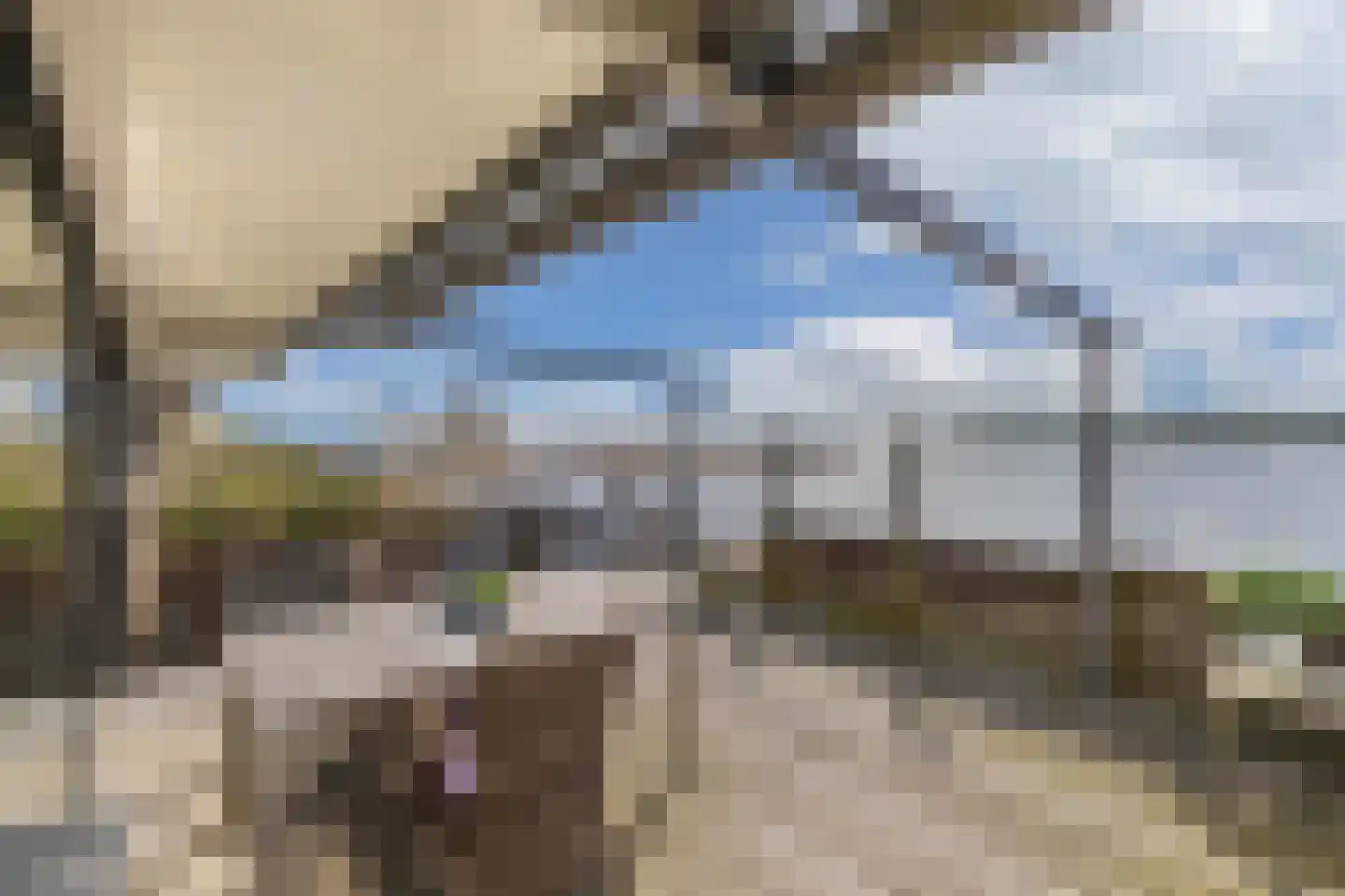 Schokkerhaven 49 Nagele thumbnail 52