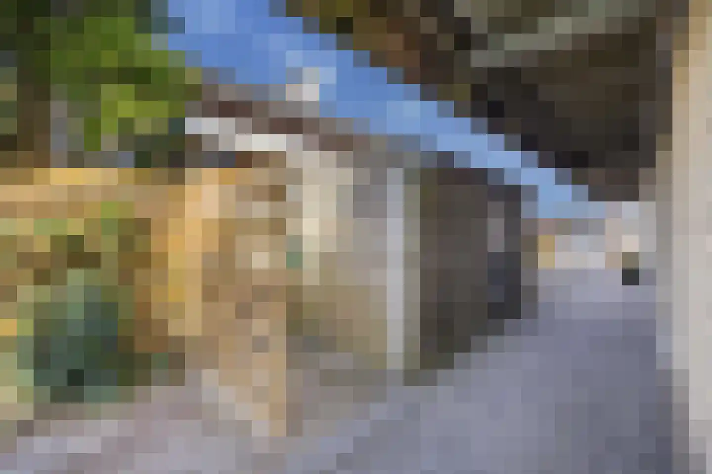 Schokkerhaven 49 Nagele thumbnail 63