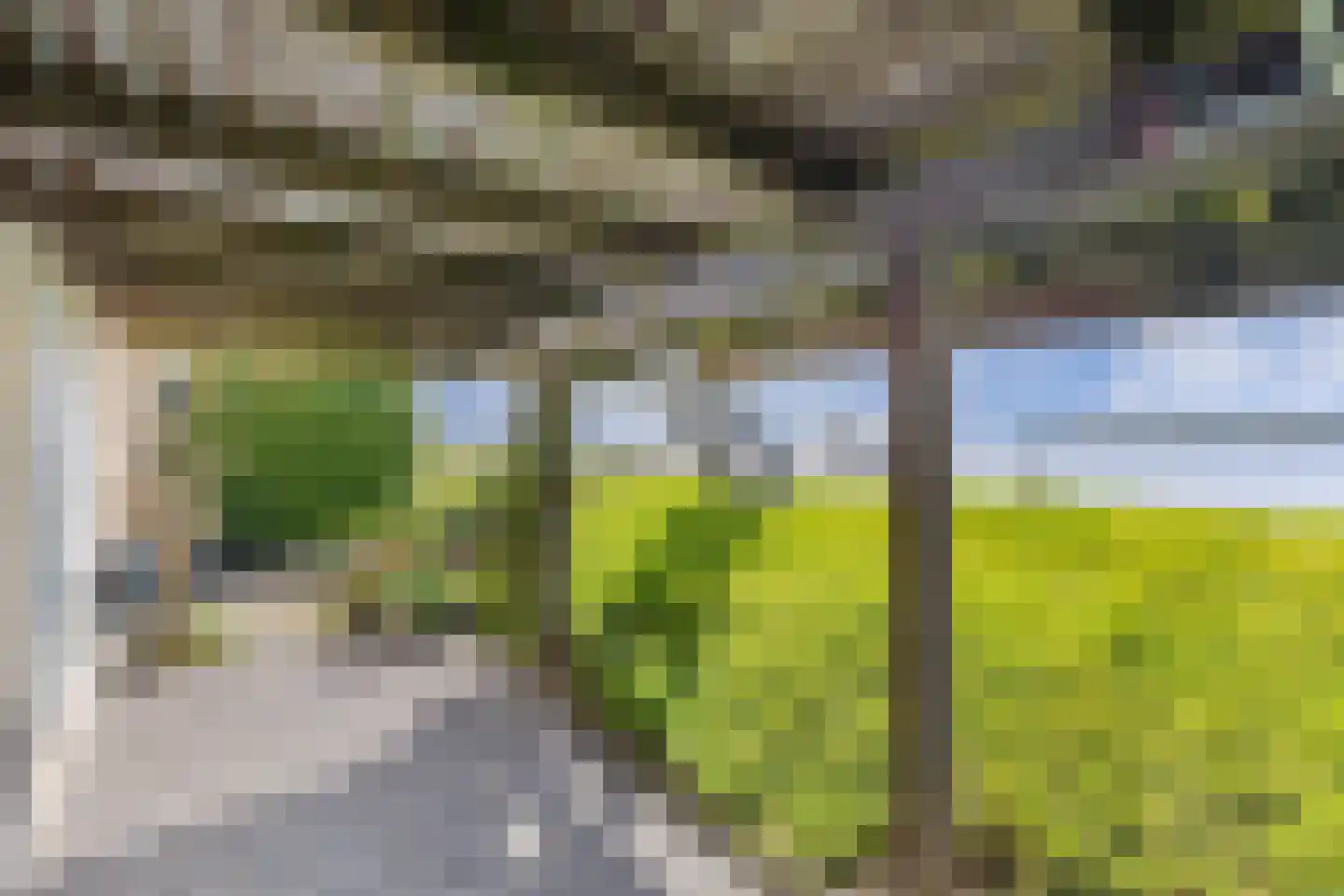 Schokkerhaven 49 Nagele thumbnail 64