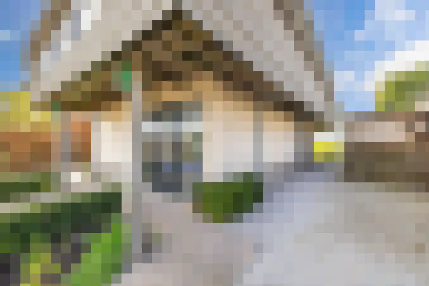 Schokkerhaven 49 Nagele thumbnail 8