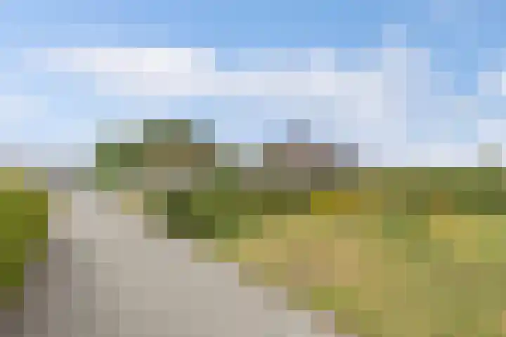 Schokkerhaven 7 Nagele thumbnail 10