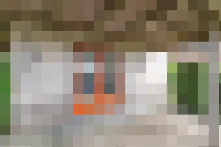 Schokkerhaven 7 Nagele thumbnail 11