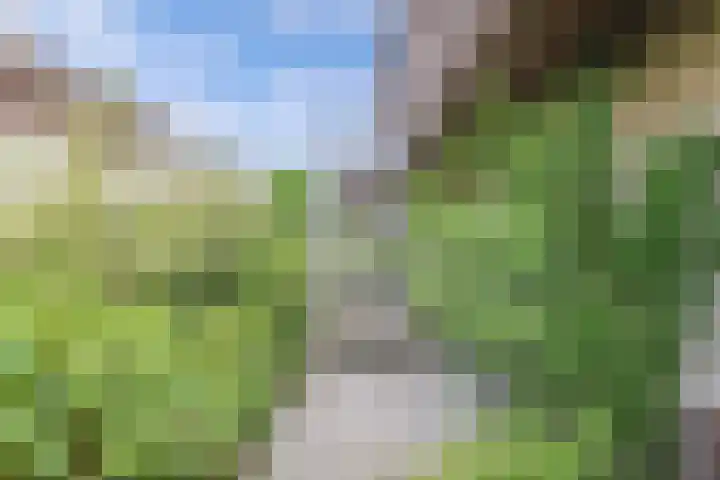Schokkerhaven 7 Nagele thumbnail 12