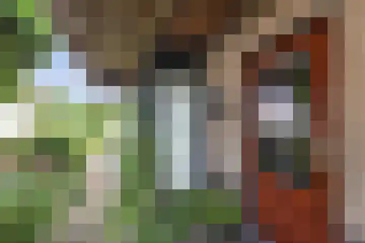 Schokkerhaven 7 Nagele thumbnail 13