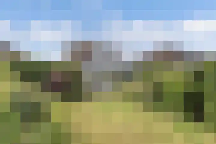 Schokkerhaven 7 Nagele thumbnail 15