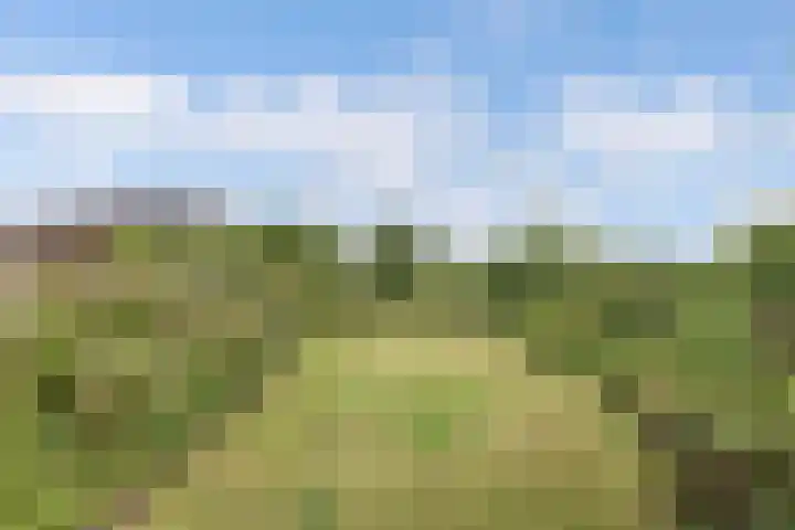 Schokkerhaven 7 Nagele thumbnail 16