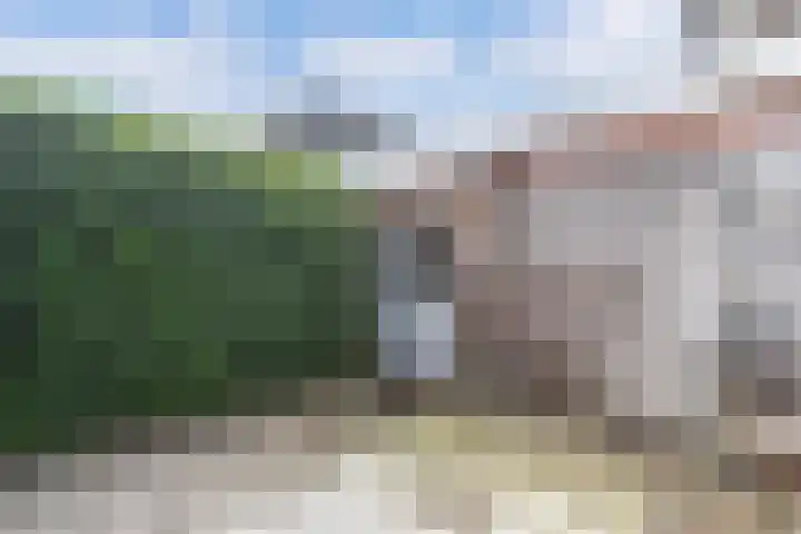 Schokkerhaven 7 Nagele thumbnail 17