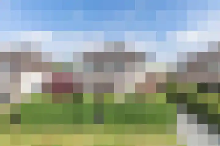 Schokkerhaven 7 Nagele thumbnail 18