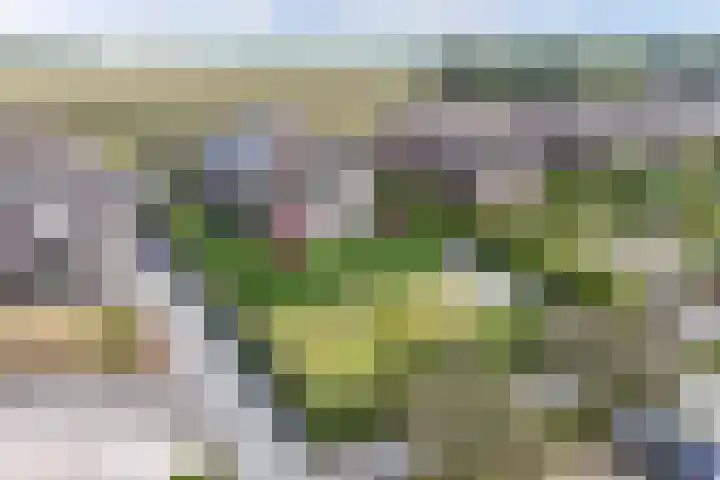 Schokkerhaven 7 Nagele thumbnail 19