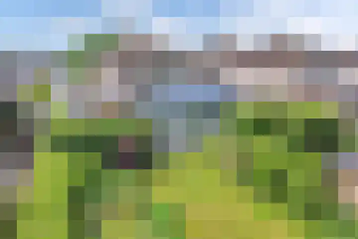 Schokkerhaven 7 Nagele thumbnail 21