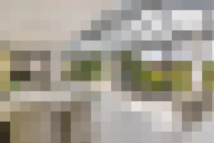 Schokkerhaven 7 Nagele thumbnail 26