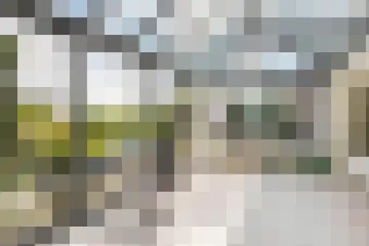 Schokkerhaven 7 Nagele thumbnail 27