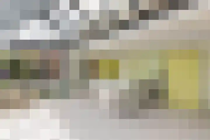 Schokkerhaven 7 Nagele thumbnail 28