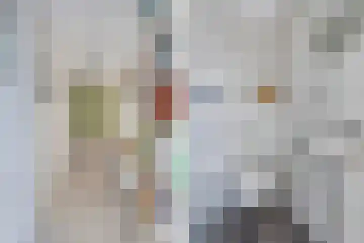 Schokkerhaven 7 Nagele thumbnail 29