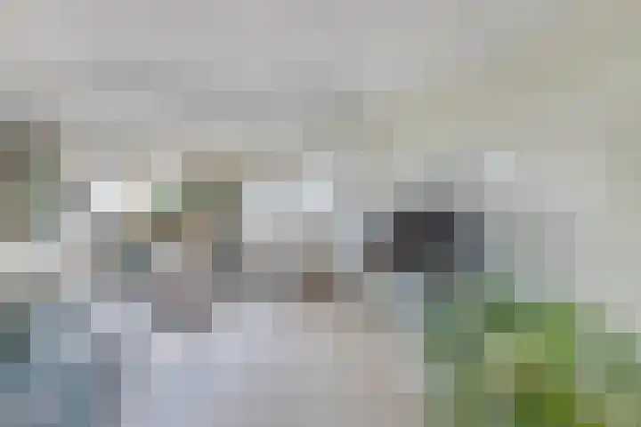 Schokkerhaven 7 Nagele thumbnail 40