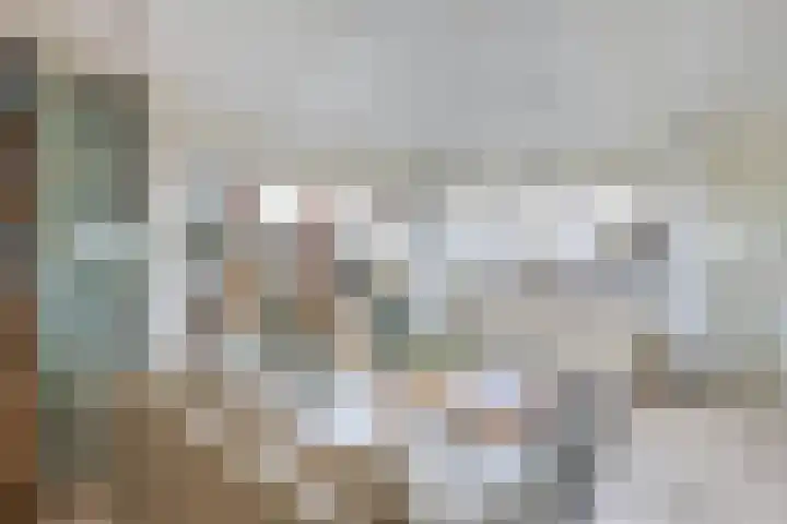 Schokkerhaven 7 Nagele thumbnail 42