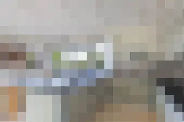 Schokkerhaven 7 Nagele thumbnail 47
