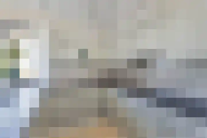 Schokkerhaven 7 Nagele thumbnail 48