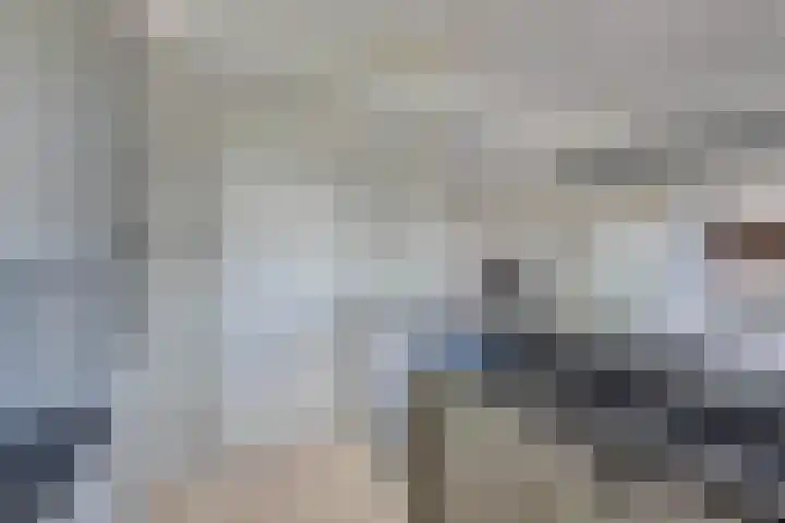 Schokkerhaven 7 Nagele thumbnail 49