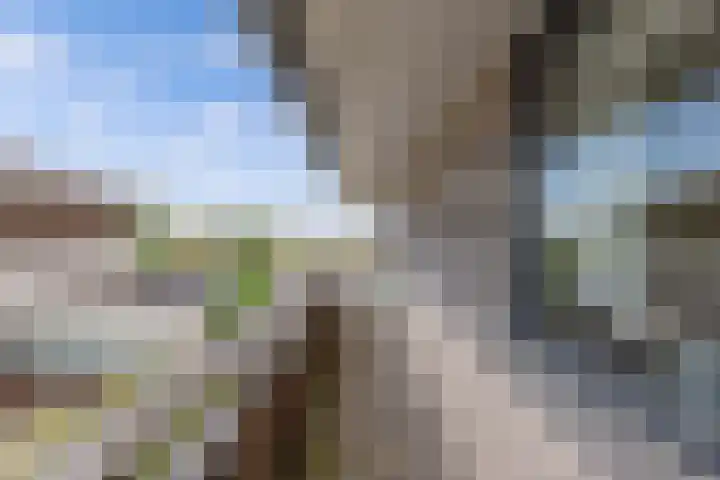 Schokkerhaven 7 Nagele thumbnail 53