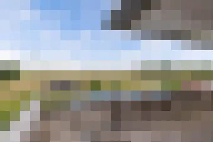 Schokkerhaven 7 Nagele thumbnail 54