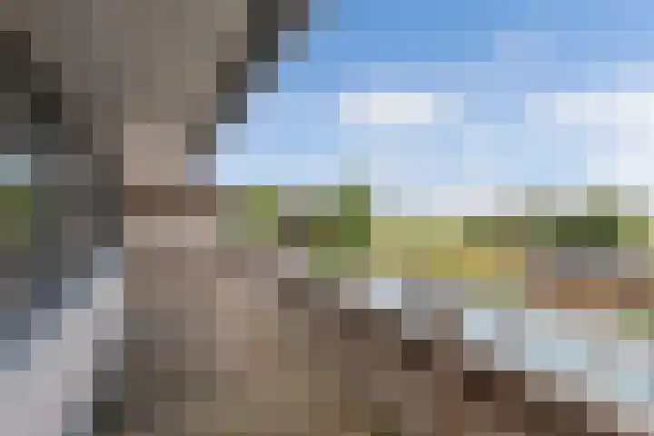Schokkerhaven 7 Nagele thumbnail 55