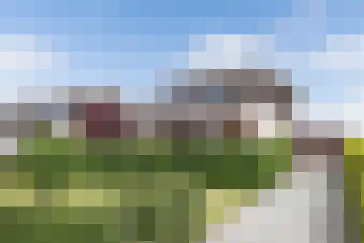 Schokkerhaven 7 Nagele thumbnail 8