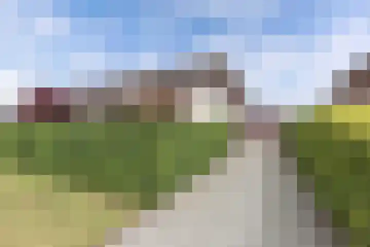 Schokkerhaven 7 Nagele thumbnail 9