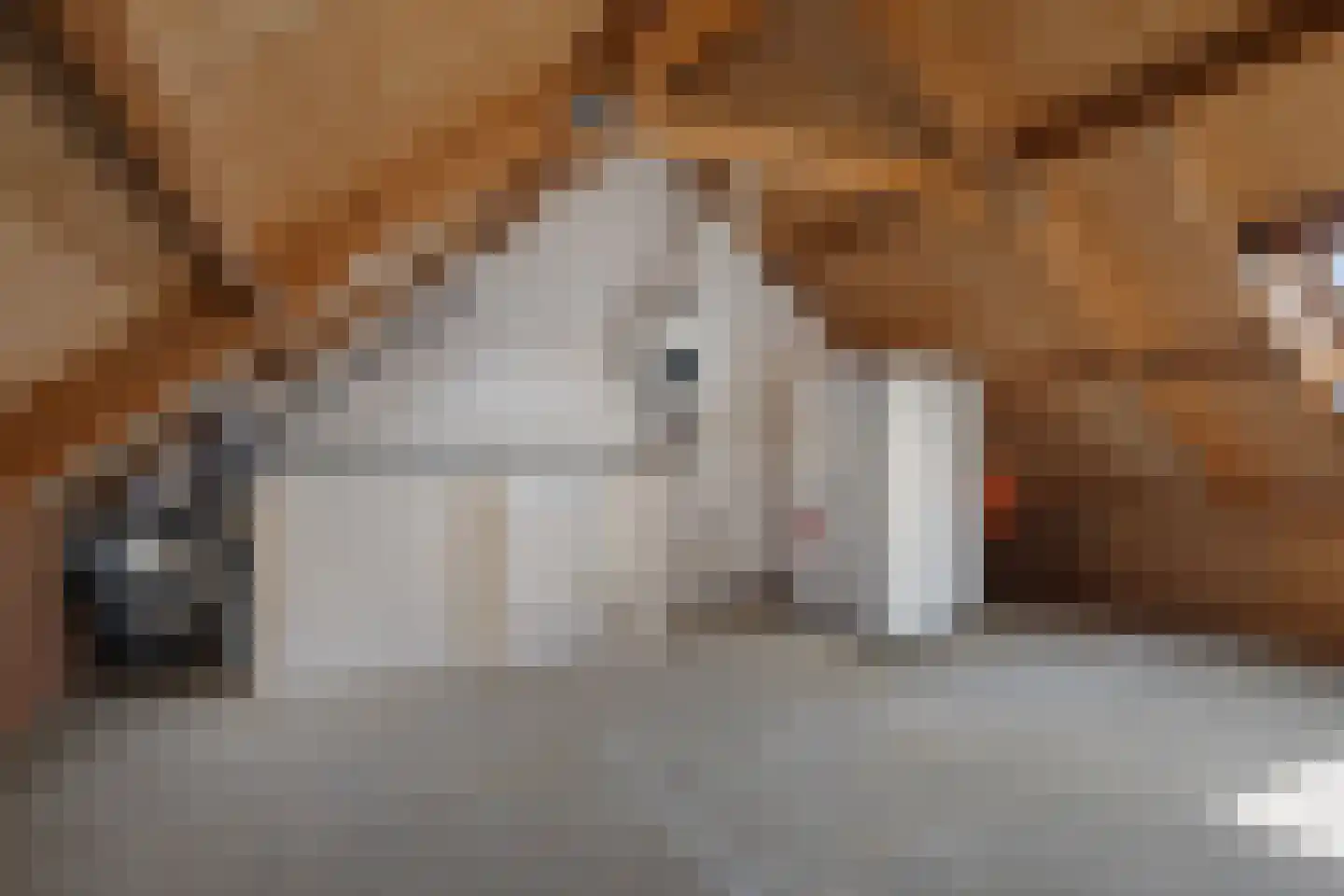 Schokkerhof 10 Harlingen thumbnail 24