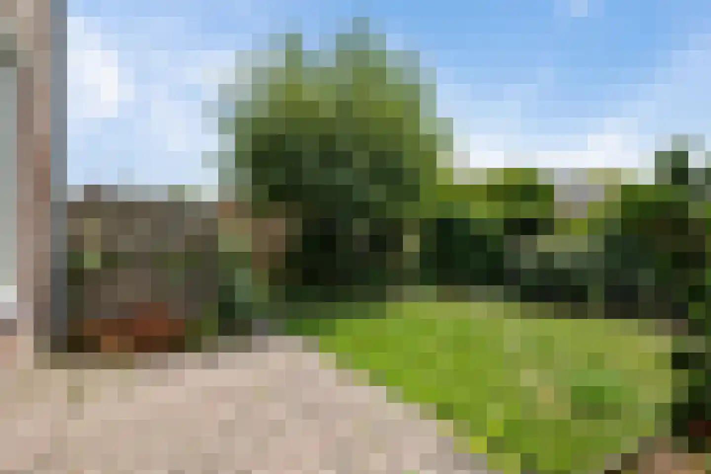 Schokkerhof 10 Harlingen thumbnail 25