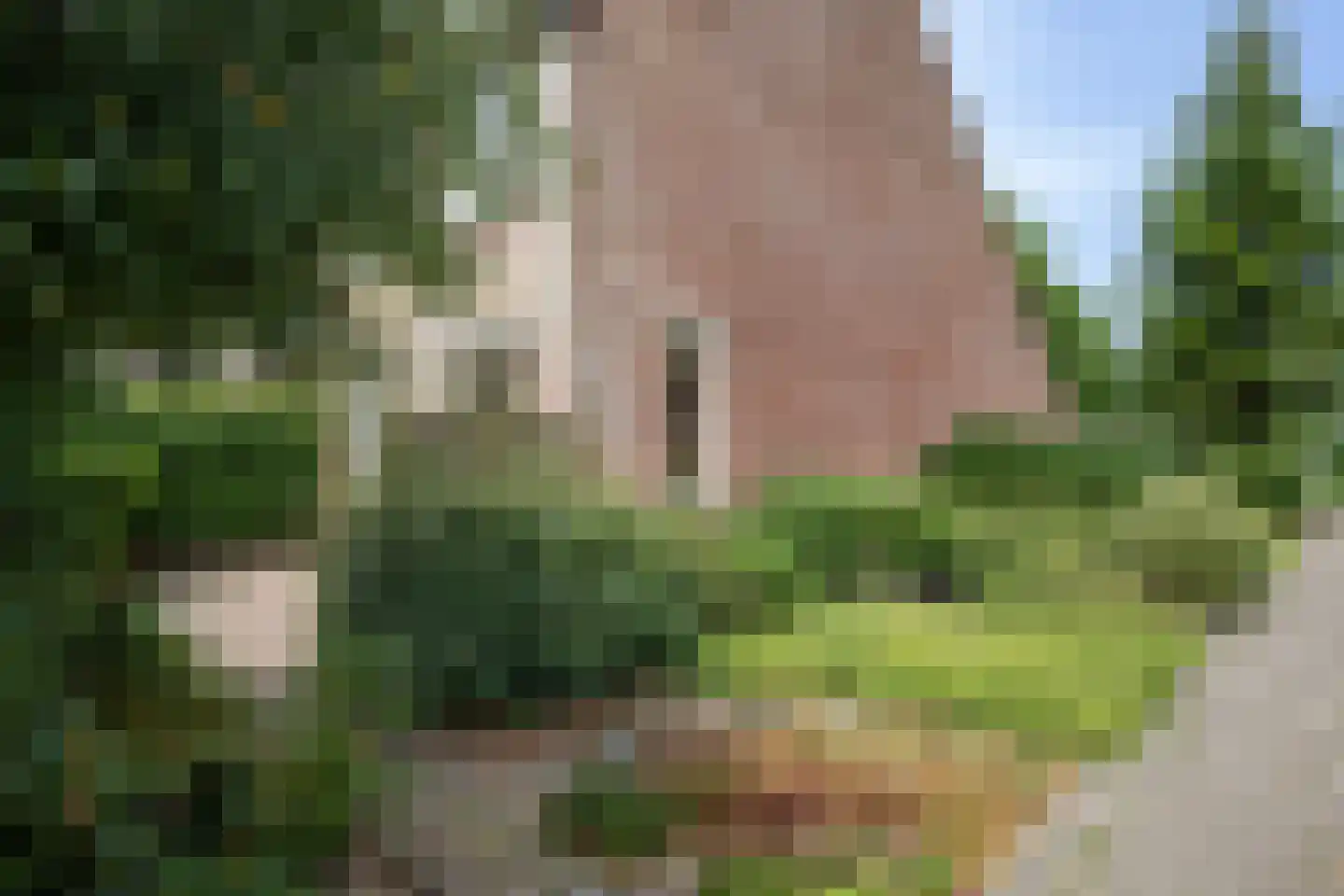 Schokkerhof 10 Harlingen thumbnail 29