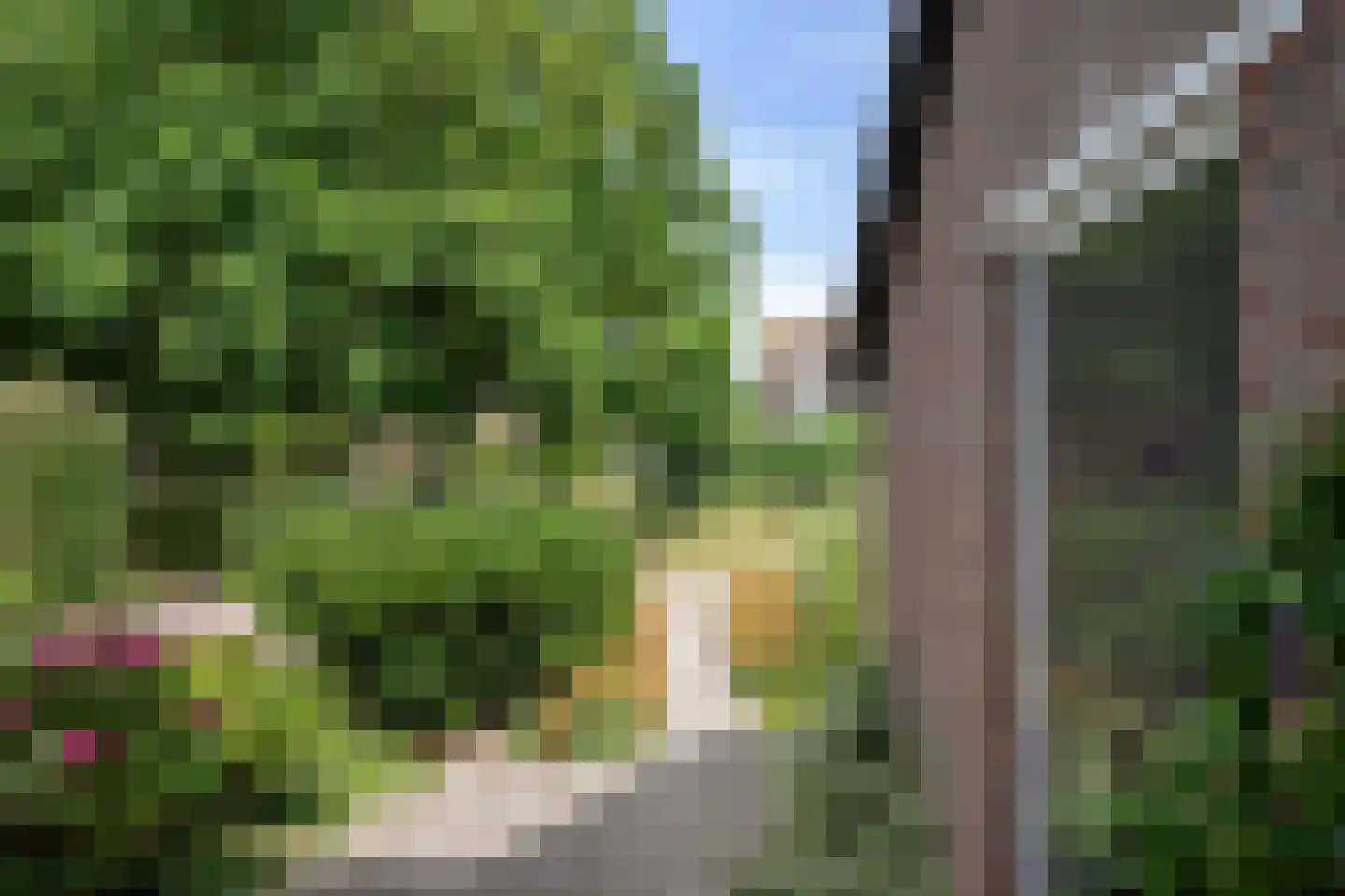 Schokkerhof 10 Harlingen thumbnail 32