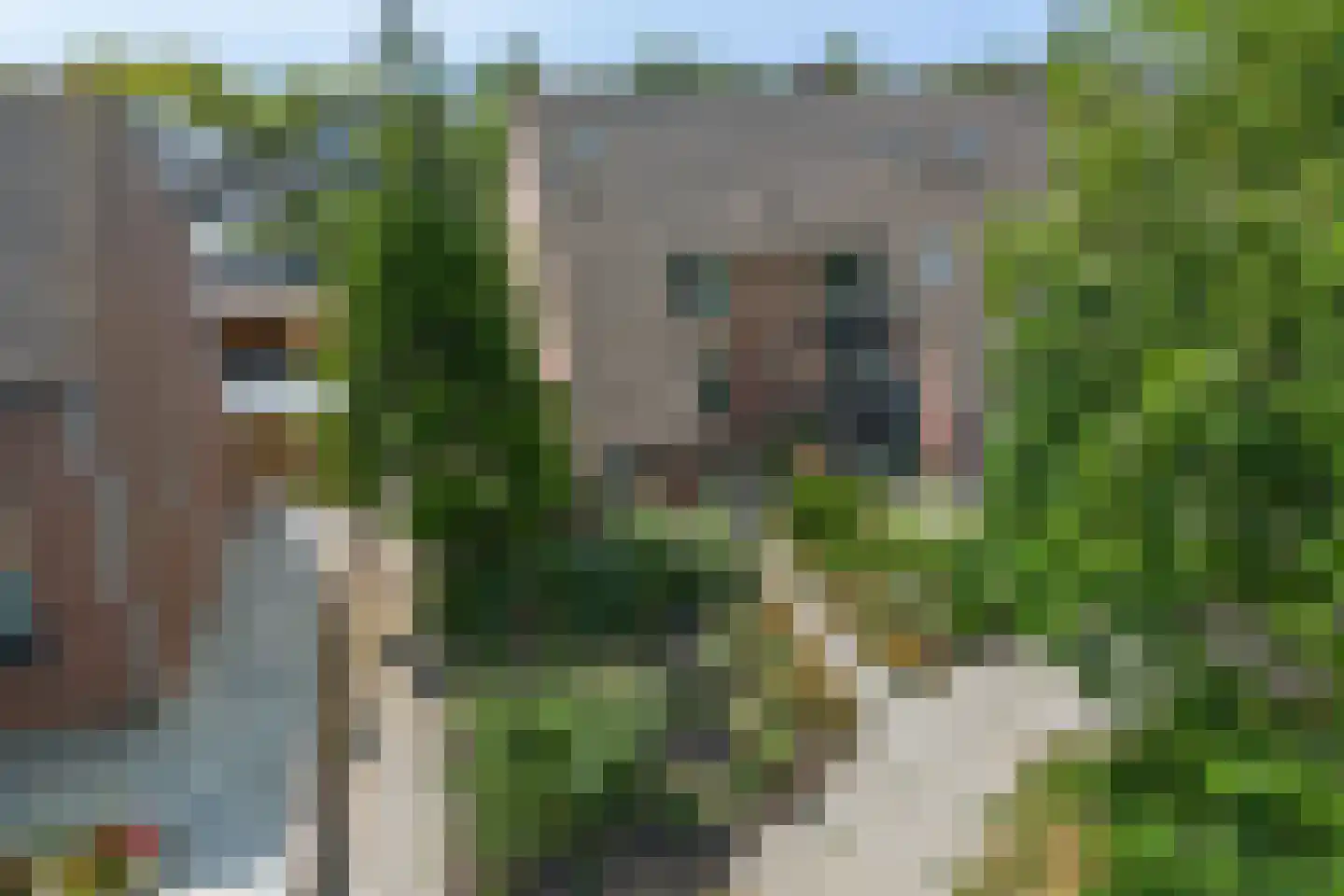 Schokkerhof 10 Harlingen thumbnail 35